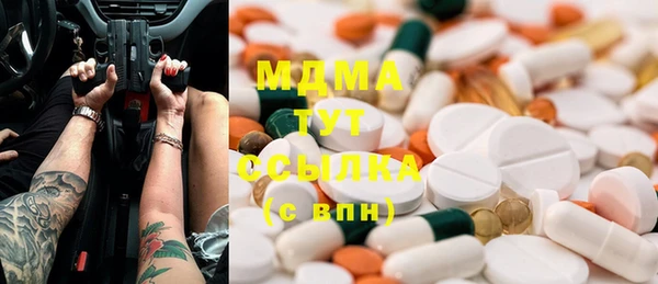 гашик Алексеевка
