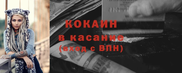 гашик Алексеевка