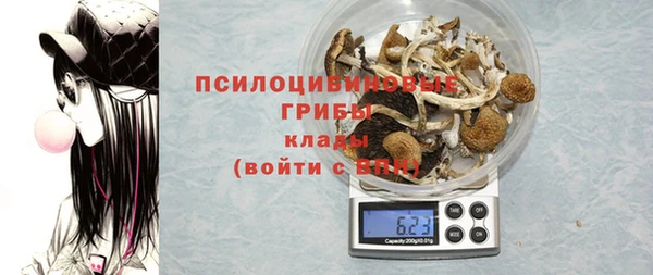 дмт Алексин